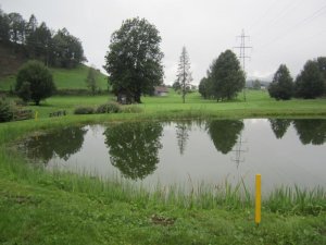 Klicken Sie hier, um das große Bild anzusehen: Golfclub Millstätter See; Bildquelle: www.golf-treff.at