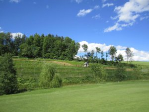 Klicken Sie hier, um das große Bild anzusehen: Golfclub Regau; Bildquelle: www.golf-treff.at