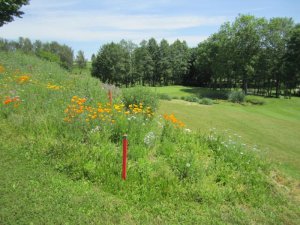 Klicken Sie hier, um das große Bild anzusehen: Golfclub Wels; Bildquelle: www.golf-treff.at