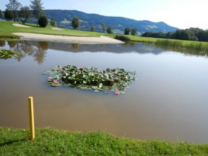 Klicken Sie hier, um das große Bild anzusehen: Golfclub Drachenwand Mondsee; Bildquelle: www.golf-treff.at