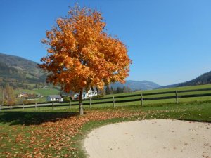 Klicken Sie hier, um das große Bild anzusehen: Golfclub Murau-Kreischberg; Bildquelle: www.golf-treff.at
