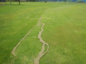 Klicken Sie hier, um das große Bild anzusehen: Nassfeld Golf; Bildquelle: www.golf-treff.at