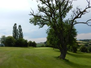 Klicken Sie hier, um das große Bild anzusehen: Golfclub Traunsee Kirchham; Bildquelle: www.golf-treff.at