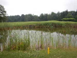Klicken Sie hier, um das große Bild anzusehen: Golfclub Luftenberg; Bildquelle: www.golf-treff.at