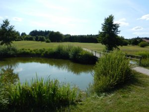 Klicken Sie hier, um das große Bild anzusehen: Golfclub Salzburg Gut Kaltenhausen; Bildquelle: www.golf-treff.at