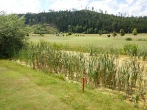Klicken Sie hier, um das große Bild anzusehen: Jacques Leman Golfclub St.Veit-Längsee; Bildquelle: www.golf-treff.at