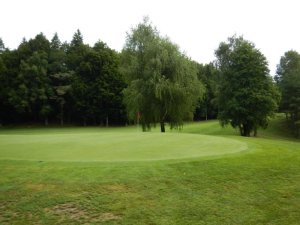 Klicken Sie hier, um das große Bild anzusehen: Kärntner Golfclub Dellach; Bildquelle: www.golf-treff.at