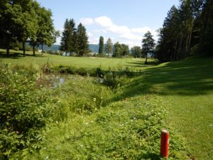 Klicken Sie hier, um das große Bild anzusehen: Kärntner Golfclub Dellach; Bildquelle: www.golf-treff.at