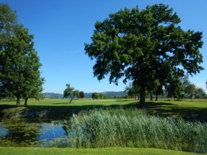 Klicken Sie hier, um das große Bild anzusehen: Golfclub Donau Linz-Feldkirchen; Bildquelle: www.golf-treff.at