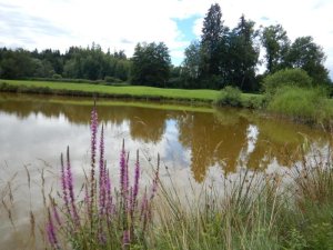 Klicken Sie hier, um das große Bild anzusehen: Golfclub Moosburg-Pörtschach; Bildquelle: www.golf-treff.at