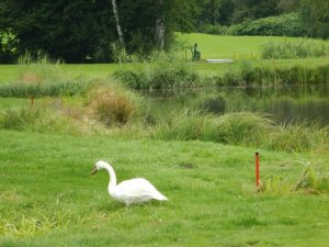 Klicken Sie hier, um das große Bild anzusehen: Golfclub Moosburg-Pörtschach; Bildquelle: www.golf-treff.at