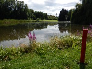 Klicken Sie hier, um das große Bild anzusehen: Golfclub Moosburg-Pörtschach; Bildquelle: www.golf-treff.at