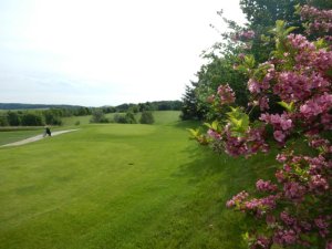 Klicken Sie hier, um das große Bild anzusehen: Golfclub Stärk Linz Ansfelden; Bildquelle: www.golf-treff.at