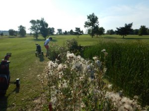 Klicken Sie hier, um das große Bild anzusehen: Golfclub Thayatal Drosendorf; Bildquelle: www.golf-treff.at