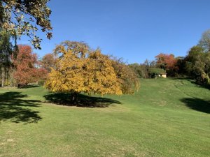 Klicken Sie hier, um das große Bild anzusehen: Golfclub Bad Gleichenberg; Bildquelle: www.golf-treff.at
