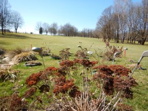 Klicken Sie hier, um das große Bild anzusehen: Golfpark Klopeinersee - Südkärnten; Bildquelle: www.golf-treff.at