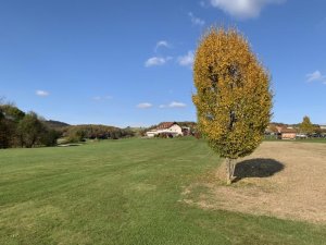 Klicken Sie hier, um das große Bild anzusehen: Traminer Golf Klöch; Bildquelle: www.golf-treff.at