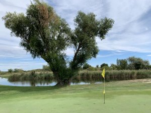 Klicken Sie hier, um das große Bild anzusehen: GC Neusiedlersee-Donnerskirchen; Bildquelle: www.golf-treff.at