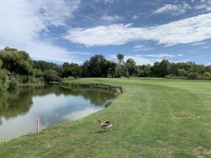 Klicken Sie hier, um das große Bild anzusehen: GC Neusiedlersee-Donnerskirchen; Bildquelle: www.golf-treff.at