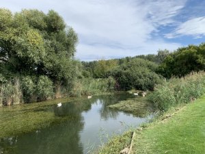 Klicken Sie hier, um das große Bild anzusehen: GC Neusiedlersee-Donnerskirchen; Bildquelle: www.golf-treff.at