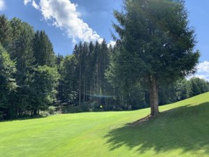 Klicken Sie hier, um das große Bild anzusehen: Golfclub Sonnberg; Bildquelle: www.golf-treff.at