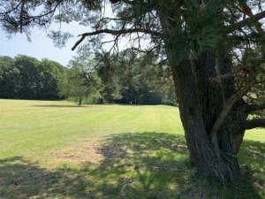 Klicken Sie hier, um das große Bild anzusehen: GC Wienerwald; Bildquelle: www.golf-treff.at