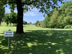 Klicken Sie hier, um das große Bild anzusehen: Golfschaukel Stegersbach; Bildquelle: www.golf-treff.at