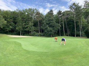 Klicken Sie hier, um das große Bild anzusehen: Golfclub Enzesfeld; Bildquelle: www.golf-treff.at