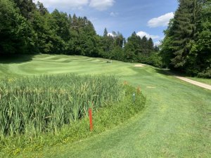 Klicken Sie hier, um das große Bild anzusehen: Golfclub Gut Freiberg; Bildquelle: www.golf-treff.at