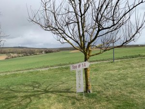Klicken Sie hier, um das große Bild anzusehen: Golf Poysdorf; Bildquelle: www.golf-treff.at