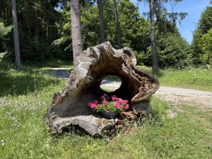 Klicken Sie hier, um das große Bild anzusehen: Golfclub Adamstal; Bildquelle: www.golf-treff.at