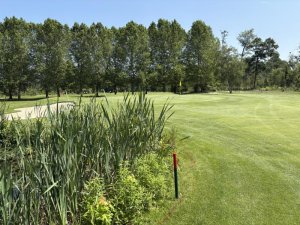 Klicken Sie hier, um das große Bild anzusehen: Golfclub Schloss Ebreichsorf; Bildquelle: www.golf-treff.at