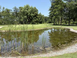 Klicken Sie hier, um das große Bild anzusehen: GC Schloss Ebreichsdorf; Bildquelle: golf-treff.at