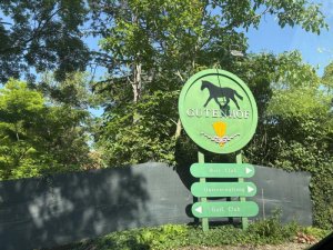 Klicken Sie hier, um das große Bild anzusehen: Colony Club Gutenhof Himberg; Bildquelle: www.golf-treff.at
