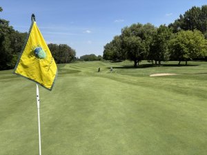 Klicken Sie hier, um das große Bild anzusehen: Colony Club Gutenhof Himberg; Bildquelle: www.golf-treff.at