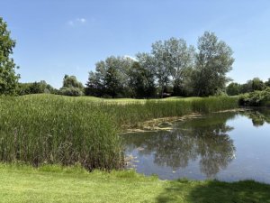 Klicken Sie hier, um das große Bild anzusehen: Colony Club Gutenhof Himberg; Bildquelle: www.golf-treff.at