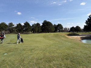 Klicken Sie hier, um das große Bild anzusehen: Golf & Countryclub Brunn am Gebirge; Bildquelle: www.golf-treff.at