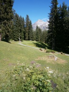Klicken Sie hier, um das große Bild anzusehen: Golfclub Arosa; Bildquelle: www.golf-treff.at
