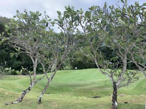 Klicken Sie hier, um das große Bild anzusehen: Lemuria Golf Praslin Seychellen; Bildquelle: www.golf-treff.at