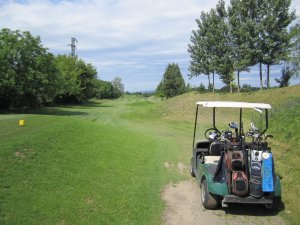 Klicken Sie hier, um das große Bild anzusehen: Black River Golf; Bildquelle: www.golf-treff.at