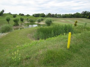 Klicken Sie hier, um das große Bild anzusehen: Black River Golf; Bildquelle: www.golf-treff.at