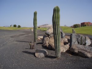 Klicken Sie hier, um das große Bild anzusehen: Salinas Golf Club; Bildquelle: golf-treff.at