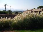 Klicken Sie hier, um das große Bild anzusehen: Alcanada Golf, Mallorca; Bildquelle: golf-treff.at