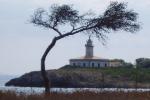 Klicken Sie hier, um das große Bild anzusehen: Alcanada Golf, Mallorca; Bildquelle: golf-treff.at