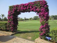 Klicken Sie hier, um das große Bild anzusehen: Golf Son Servera; Bildquelle: www.golf-treff.at